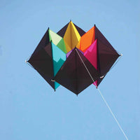 Clarke's Crystal Box Kite