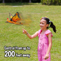 Butterfly Go Go Bird