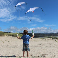 Seagull Kite