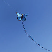 Blue Morpho Butterfly Kite