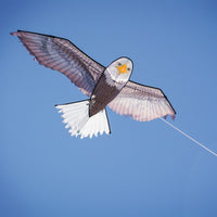 70" Bald Eagle Kite