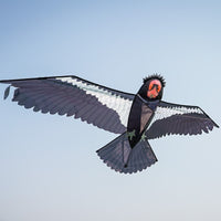 84" California Condor Kite