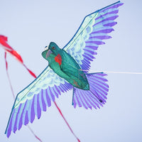 3D Hummingbird Kite