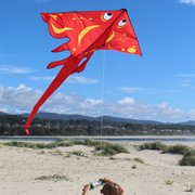 Stingray Kite