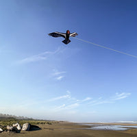 84" California Condor Kite