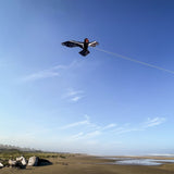 84" California Condor Kite