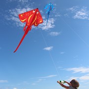 Stingray Kite