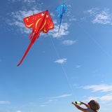 Stingray Kite