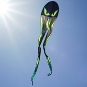 22" Eyes Dancing Dragon Kite