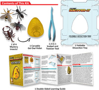 Dissect-It Discover-It Ancient Amber Lab